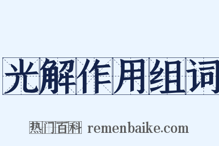 光解作用组词是什么意思的图片